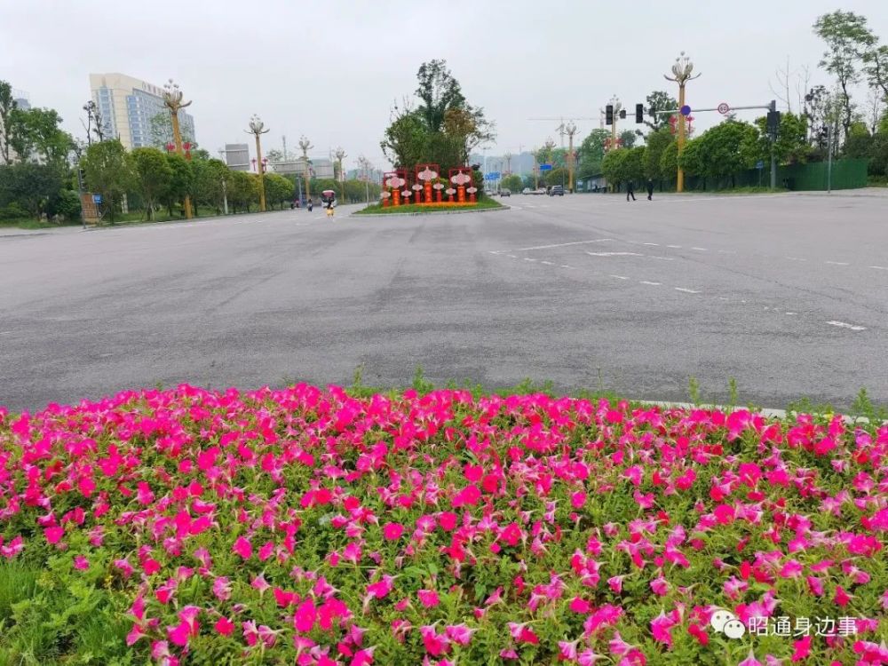 鎮(zhèn)雄南部新區(qū)最新動態(tài)，鄰里間的溫情故事展現(xiàn)溫情鄰里關(guān)系