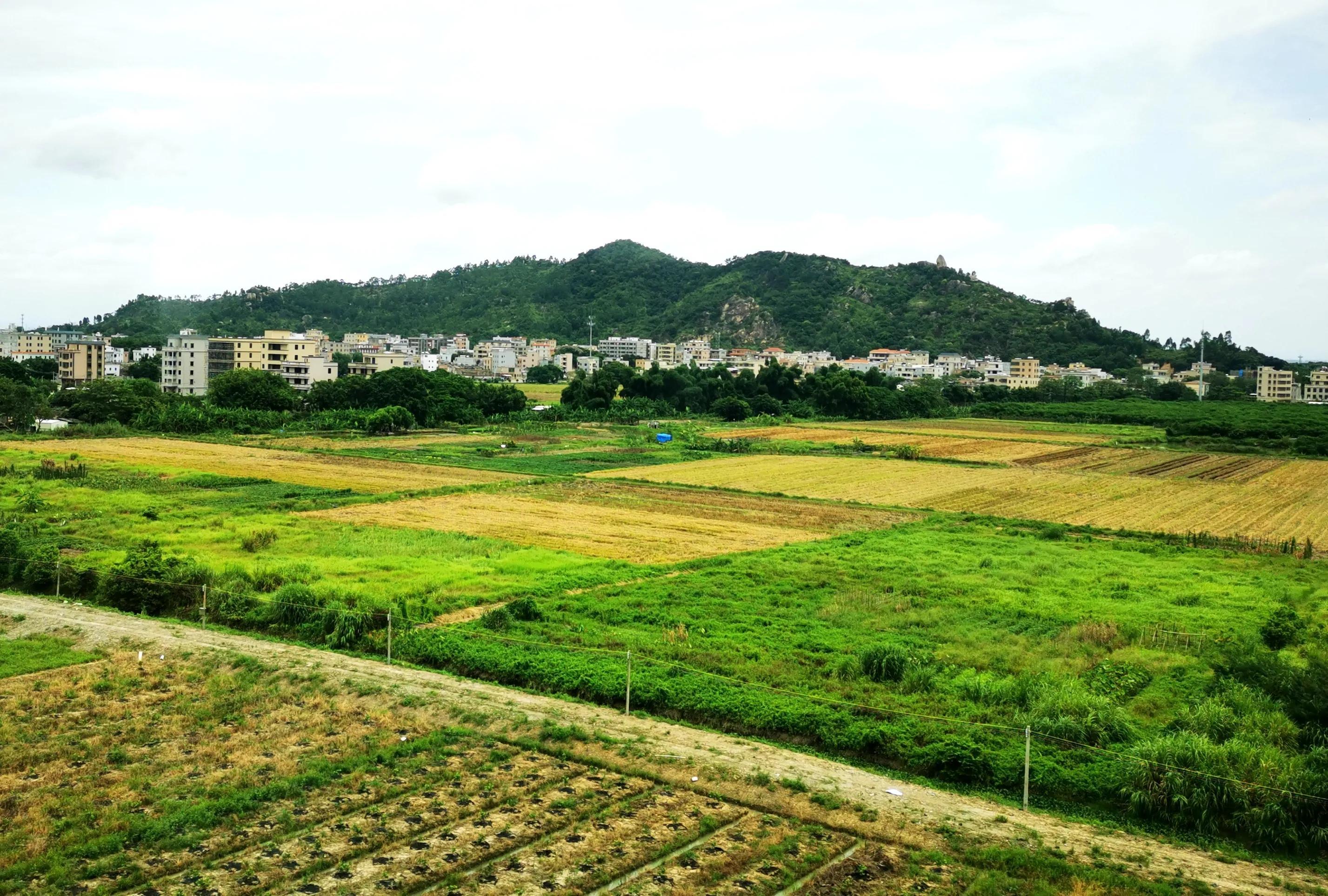 廈門至深圳高鐵提速最新動態(tài),廈門至深圳高鐵提速最新動態(tài)，速度與情感的雙重旅程