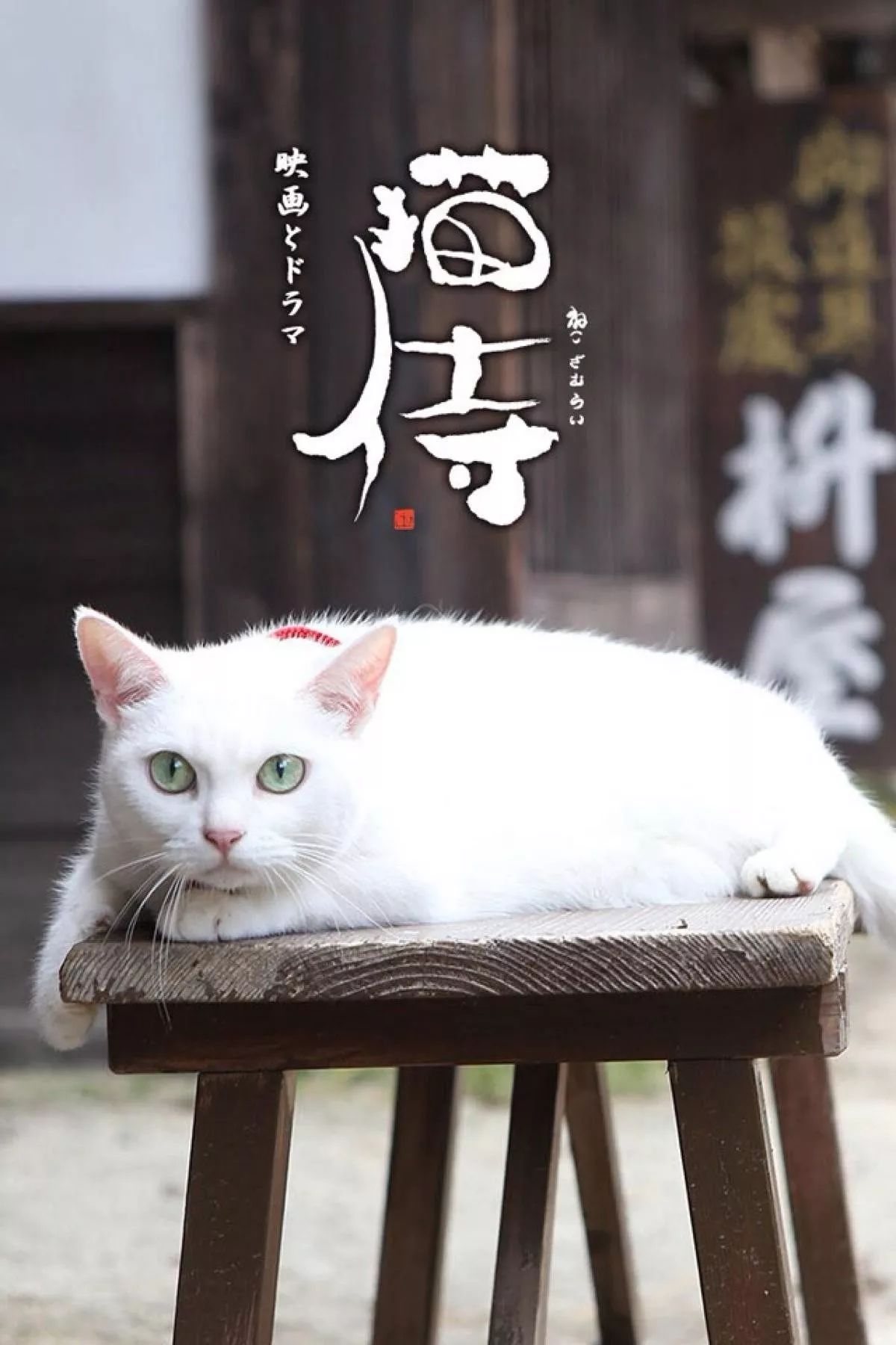 貓侍新篇，背景、事件與深遠(yuǎn)影響