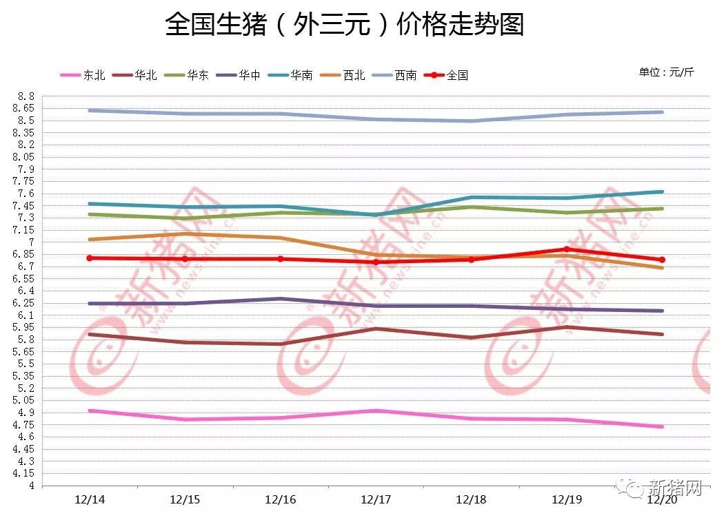 生豬最新動態(tài),生豬最新動態(tài)，科技引領畜牧業(yè)革新