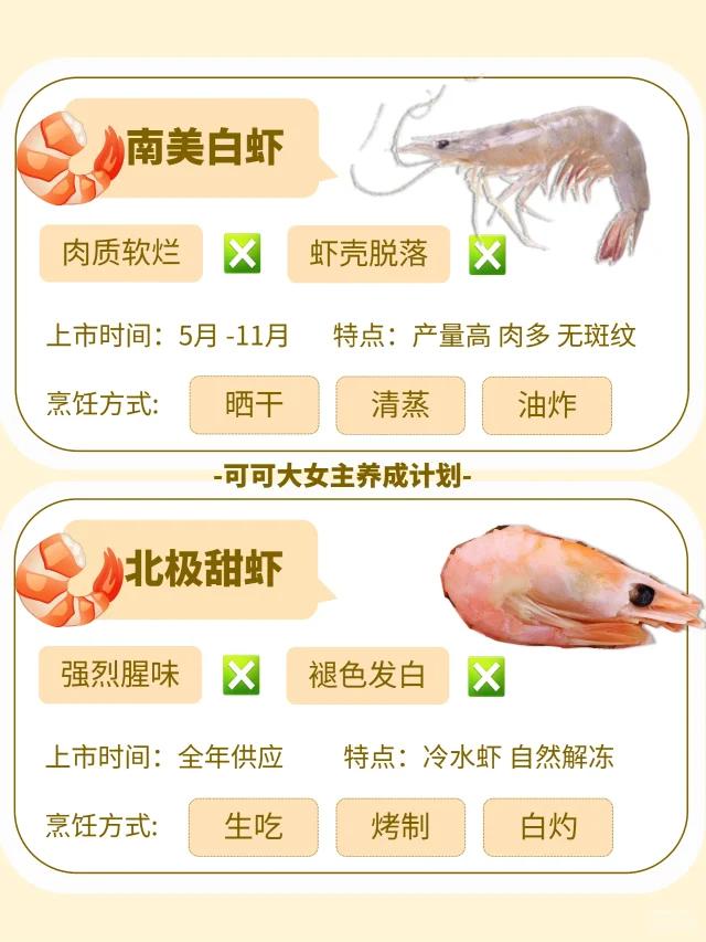 最新南美蝦，海洋美味的新寵兒