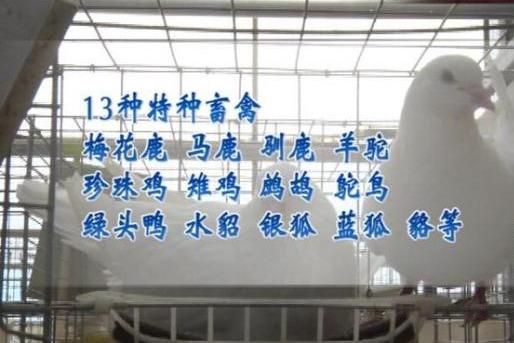 最新禁食目錄公布，健康信息必備知曉