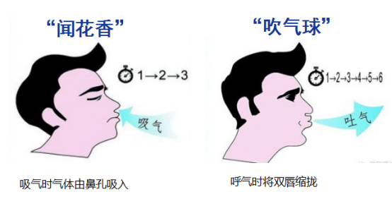 咽氣諾最新觀點(diǎn)闡述