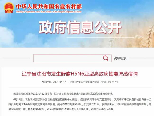 時代背景下的嚴峻挑戰(zhàn)，最新輸入疫情的挑戰(zhàn)與應對之道