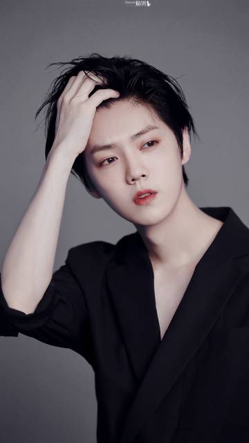 鹿教練最新分析與觀點闡述摘要