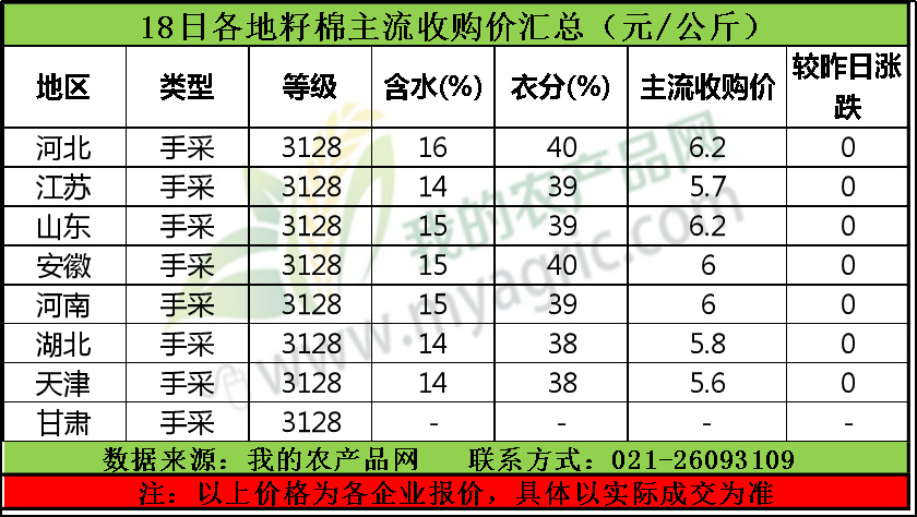 籽棉最新價格，自然美景下的旅行探索之旅
