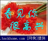最新QQ表情包探秘，小巷深處的神秘樂(lè)園