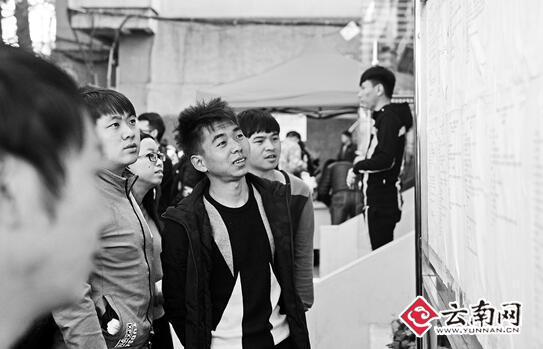 昆明招聘網(wǎng)最新職位更新，職業(yè)發(fā)展的理想起點(diǎn)