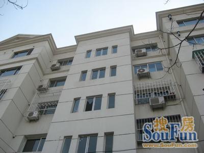 開發(fā)區(qū)曉園拆遷最新動態(tài)，奇妙拆遷記