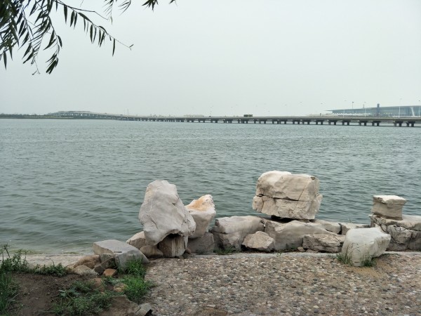 金海湖新區(qū)最新項目啟航，學習成就夢想，共創(chuàng)未來征程